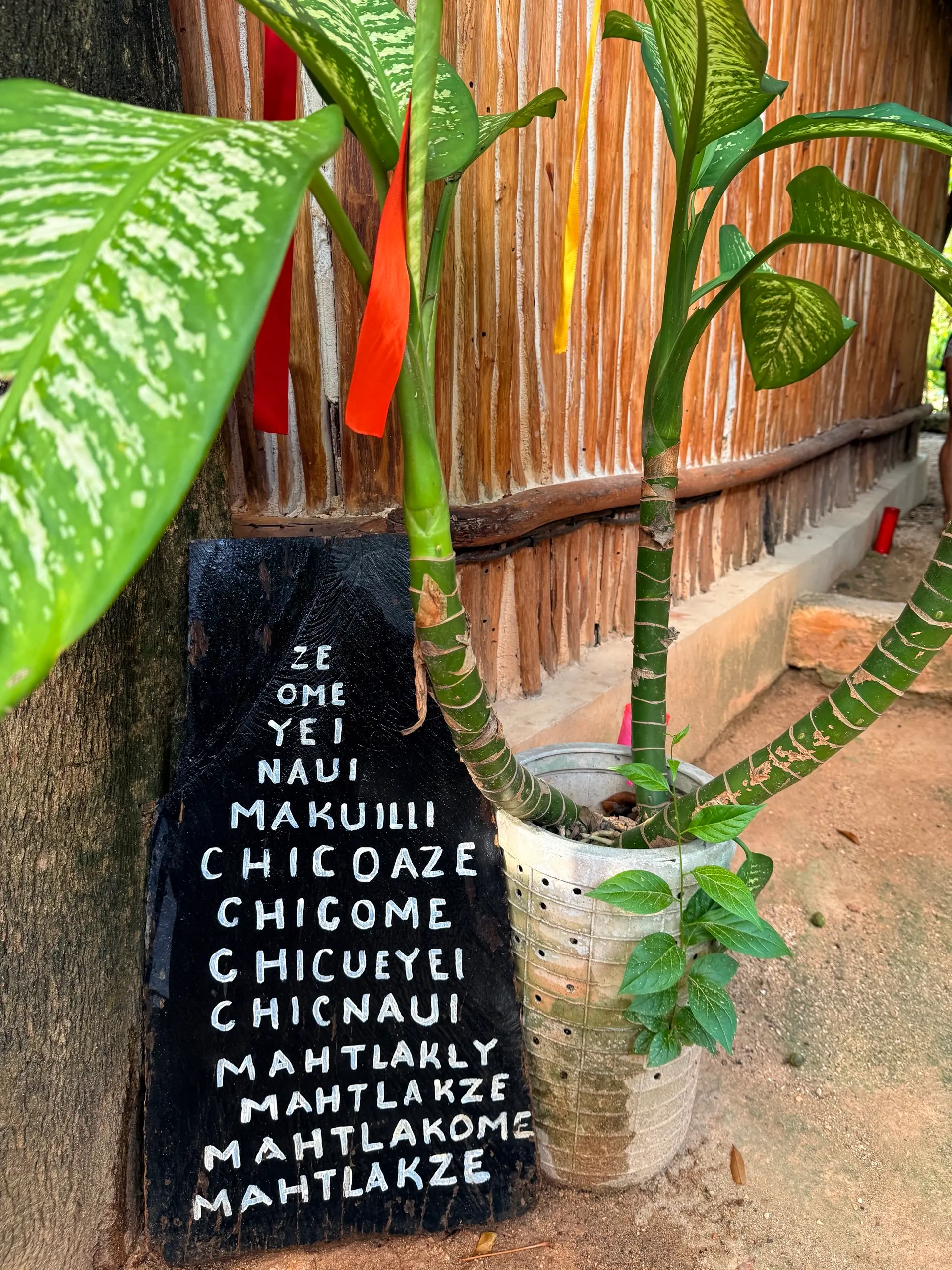 Los números en náhuatl escritos sobre el muro, junto a las plantas